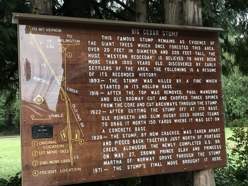 Big Cedar stump history near Mt Vernon